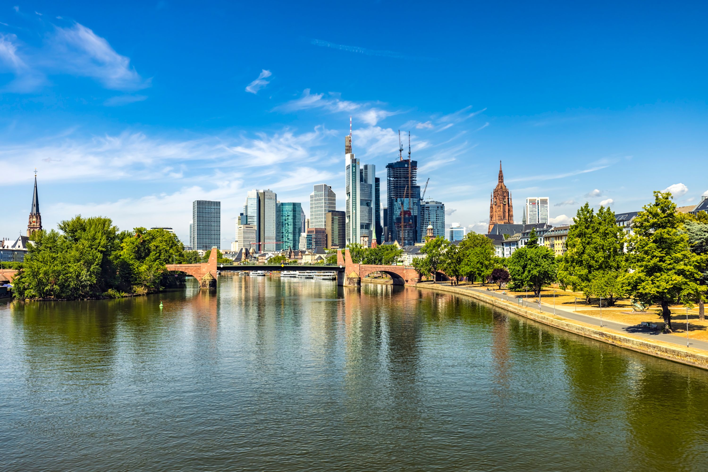 Frankfurt Skyline Serenity: A Summer Day on the River Main