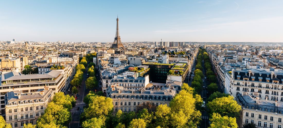 Parisian Summer: Cityscape View with Eiffel Tower