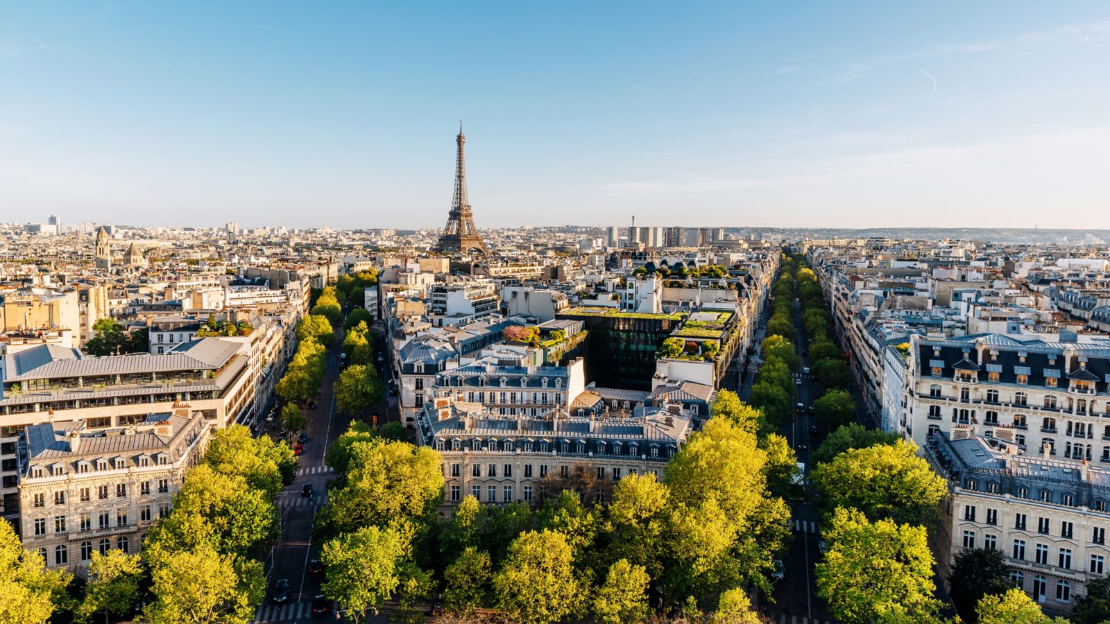 Parisian Summer: Cityscape View with Eiffel Tower