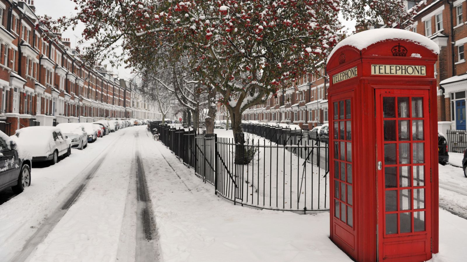 Brussels/gingerbread