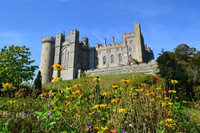 Colourful spring flowers in front of fairy-tale Arundel Castle, South Downs