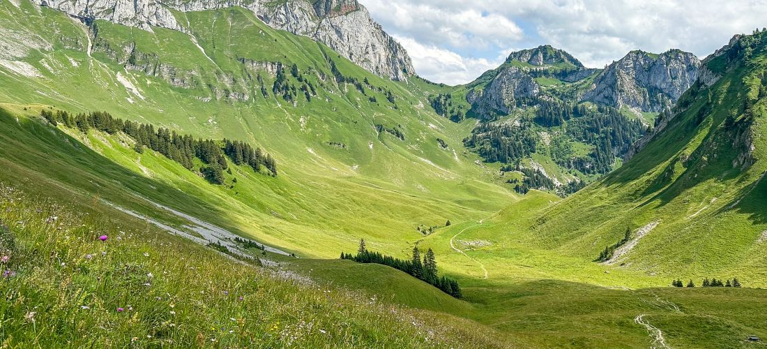 Summer Hike on the GR5: Chablais Geopark