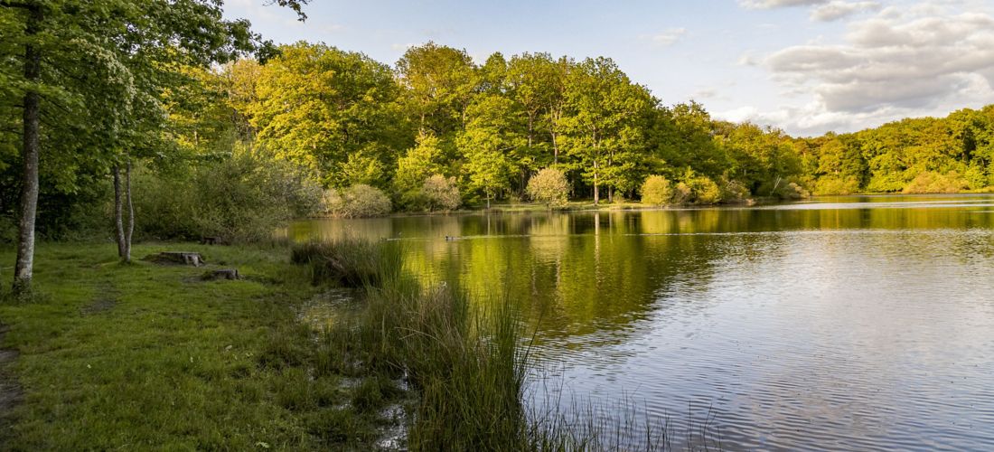 Sunset Serenity over Lake in Rambouillet, France