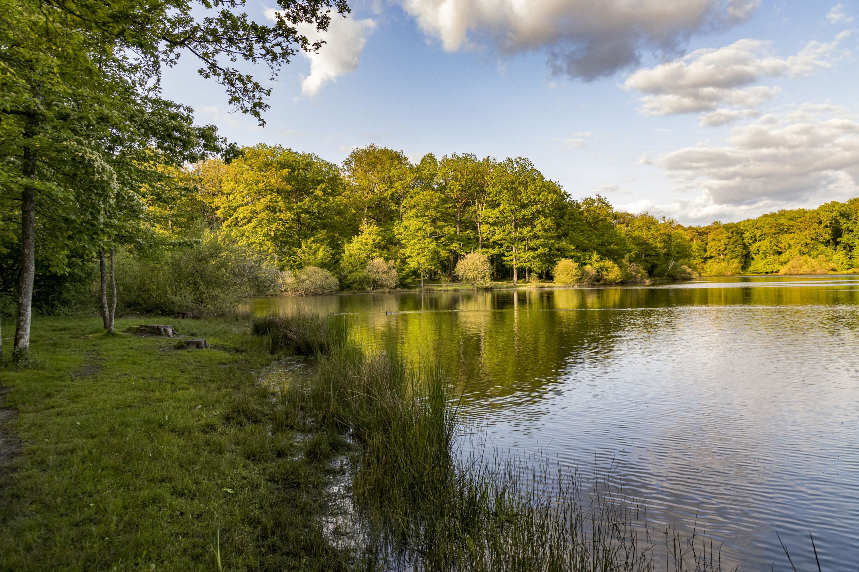 Sunset Serenity over Lake in Rambouillet, France