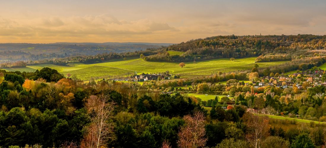Sunrise over Box Hill in the Surrey Hills, UK