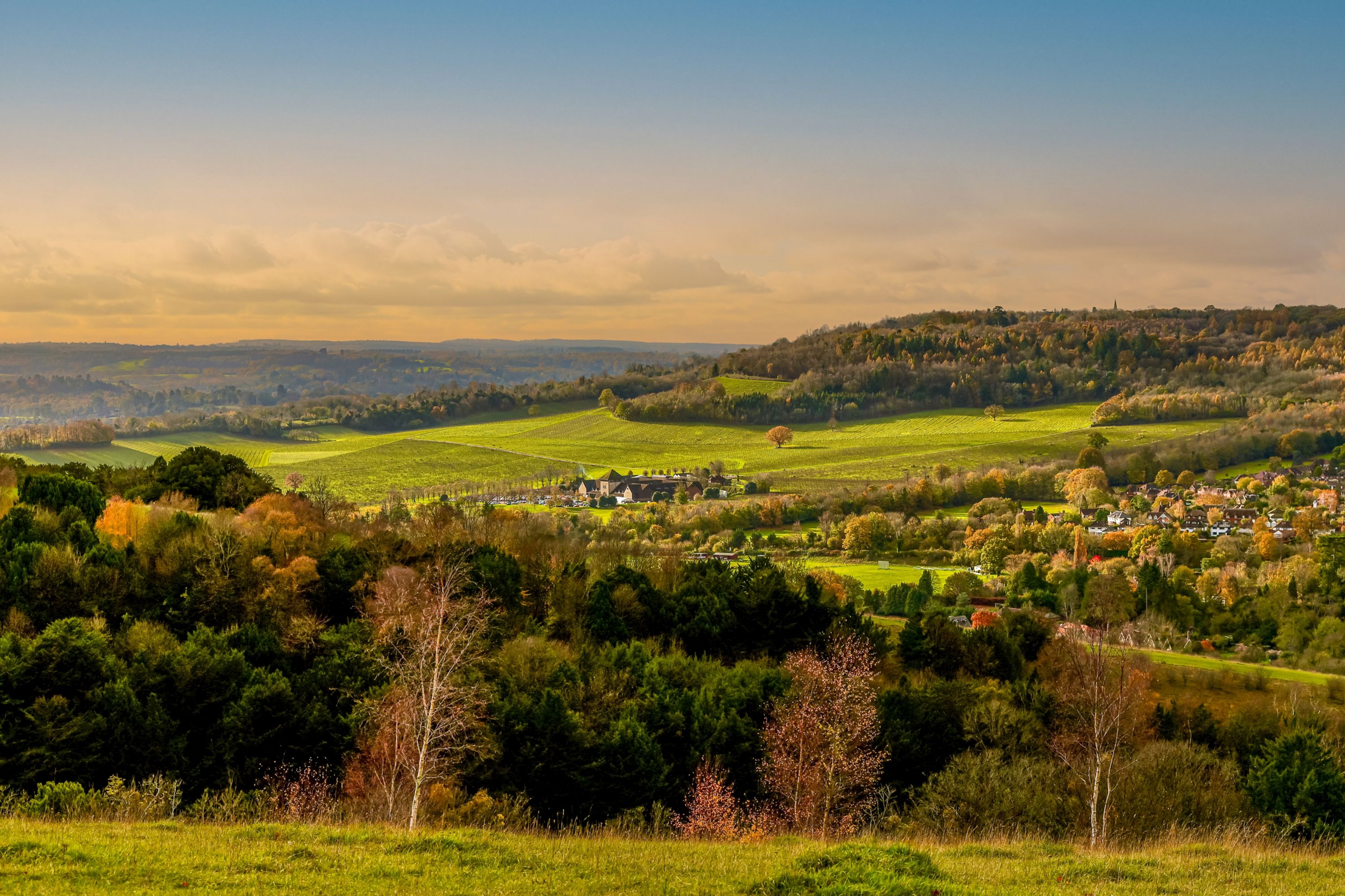 Sunrise over Box Hill in the Surrey Hills, UK