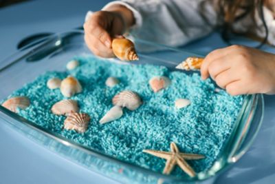 A child carefully arranging seashells, an activity which aids sensory development