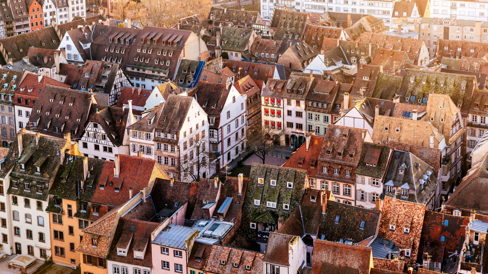 Historic Strasbourg Rooftops: An Aerial View of Timeless Beauty