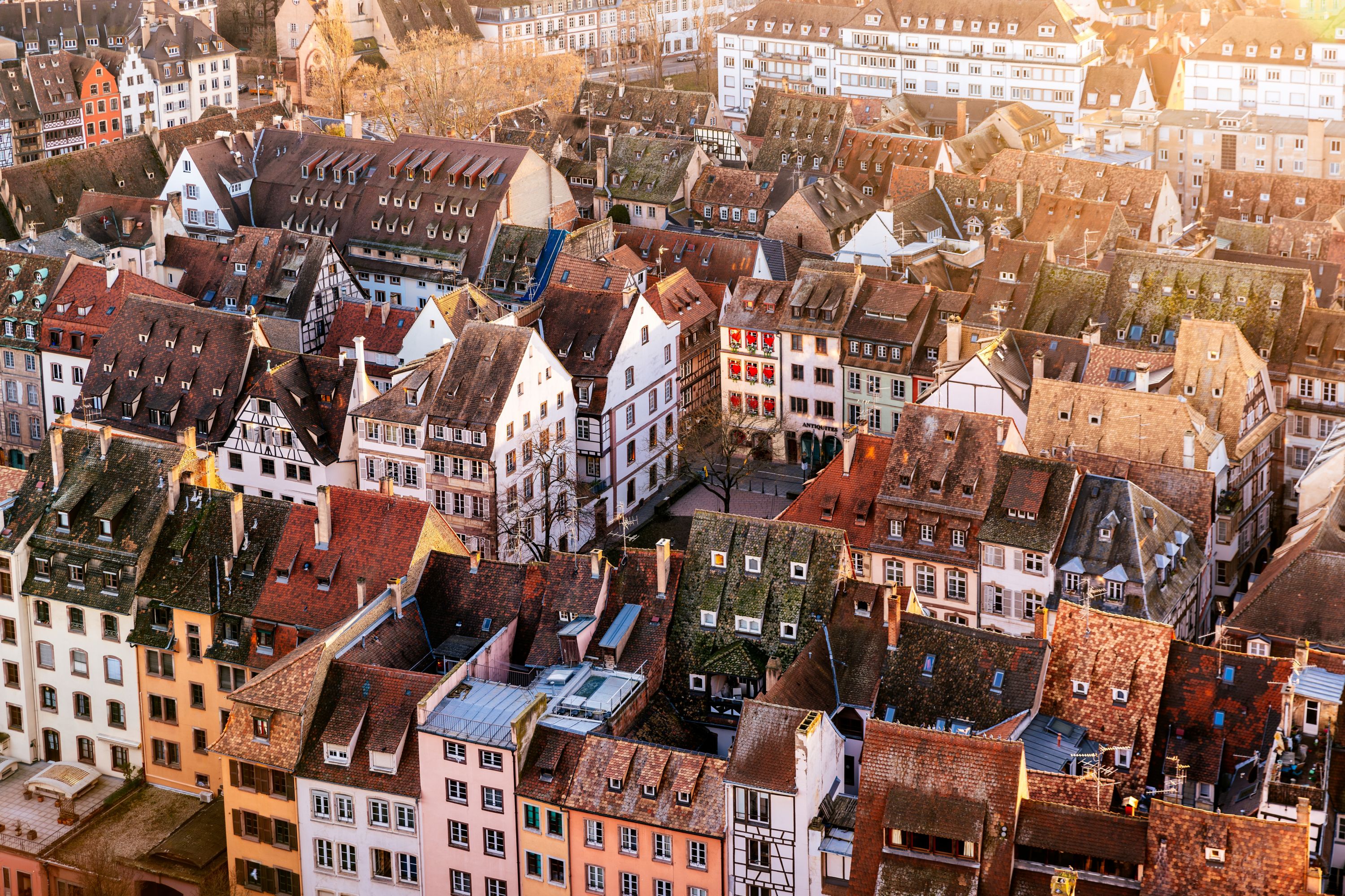 Historic Strasbourg Rooftops: An Aerial View of Timeless Beauty