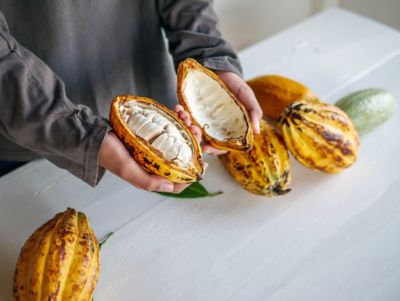 Zwei Hälften einer aufgebrochenen, reifen Kakaofrucht in den Händen einer Person