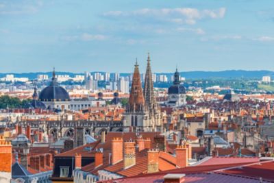 Rooftops of the Presqu'île district in Lyon, with chimneys, spires and domes