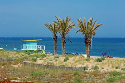 Palm trees overlooking clear waters at Barcarès beach near Perpignan