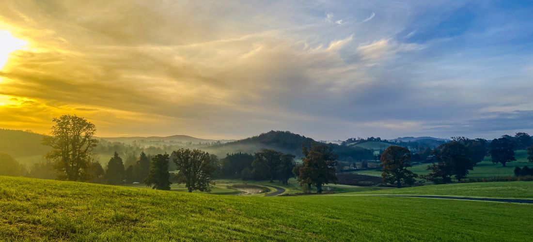 Golden Sunrise Over Misty Farnham Estate