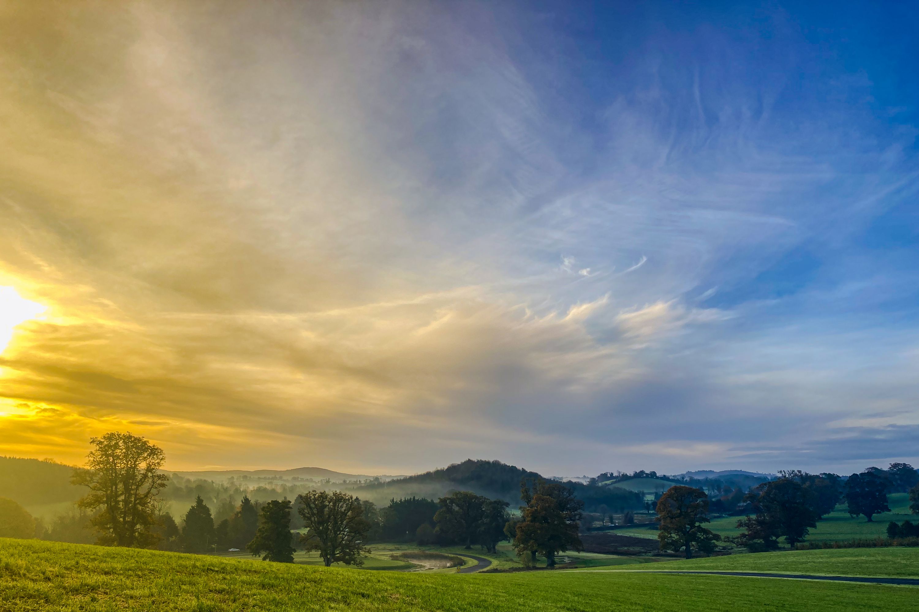 Golden Sunrise Over Misty Farnham Estate