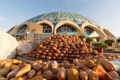 Fresh produce in front of the Chorsu Bazaar's enormous turquoise dome in Tashkent