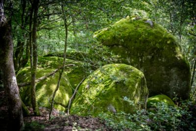 Formations rocheuses du Sidobre près du village de Lacrouzette