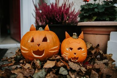 A pair of cat-themed carved pumpkins on a front doorstep