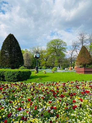 Bright flowers and landscaped trees in Cișmigiu Garden, Bucharest Old Town