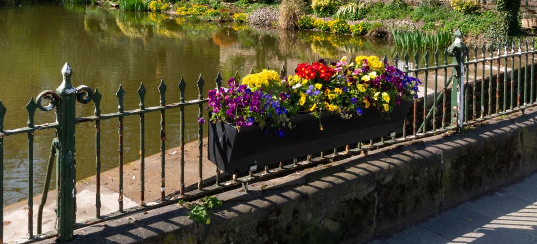 Lymm Village Cottages and Pond
