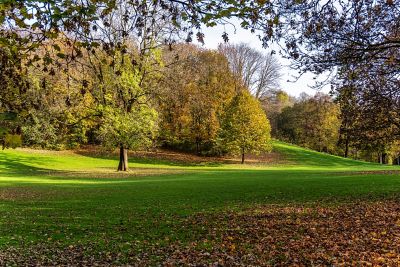 Luitpoldpark in München mit herbstlich verfärbten Bäumen und buntem Laub auf einer Wiese