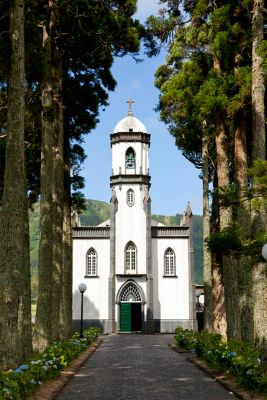 Iglesia blanca de San Nicolás en Sete Cidades, Azores, vista a través de una avenida arbolada