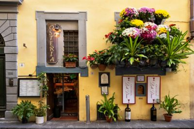 Blumengeschmücktes Weinfenster der Osteria Belle Donne in Florenz