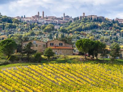 Montalcino, a medieval hill town in Tuscany surrounded by vineyards