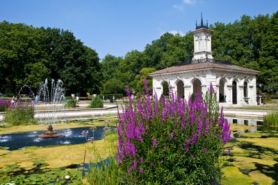 Kensington Gardens, London, with purple blooms, a fountain and an ornate building