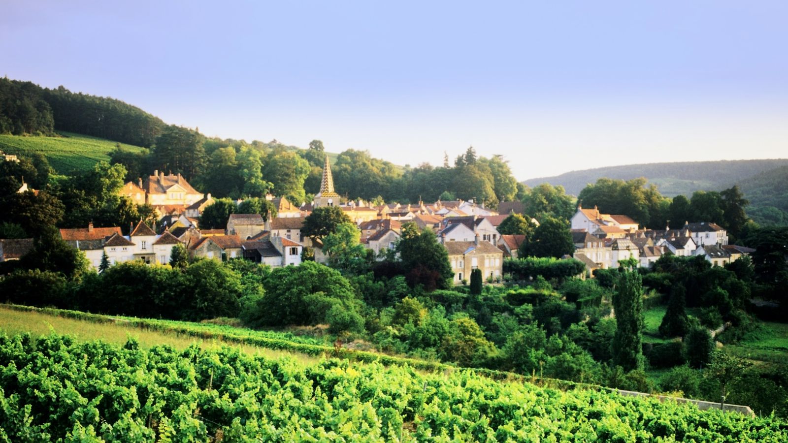 Vineyards and Village in Burgundy, France