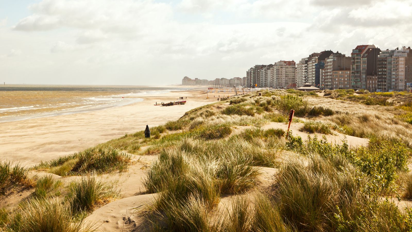 Seaside Serenity: Dunes and Beach near Zeebrugge