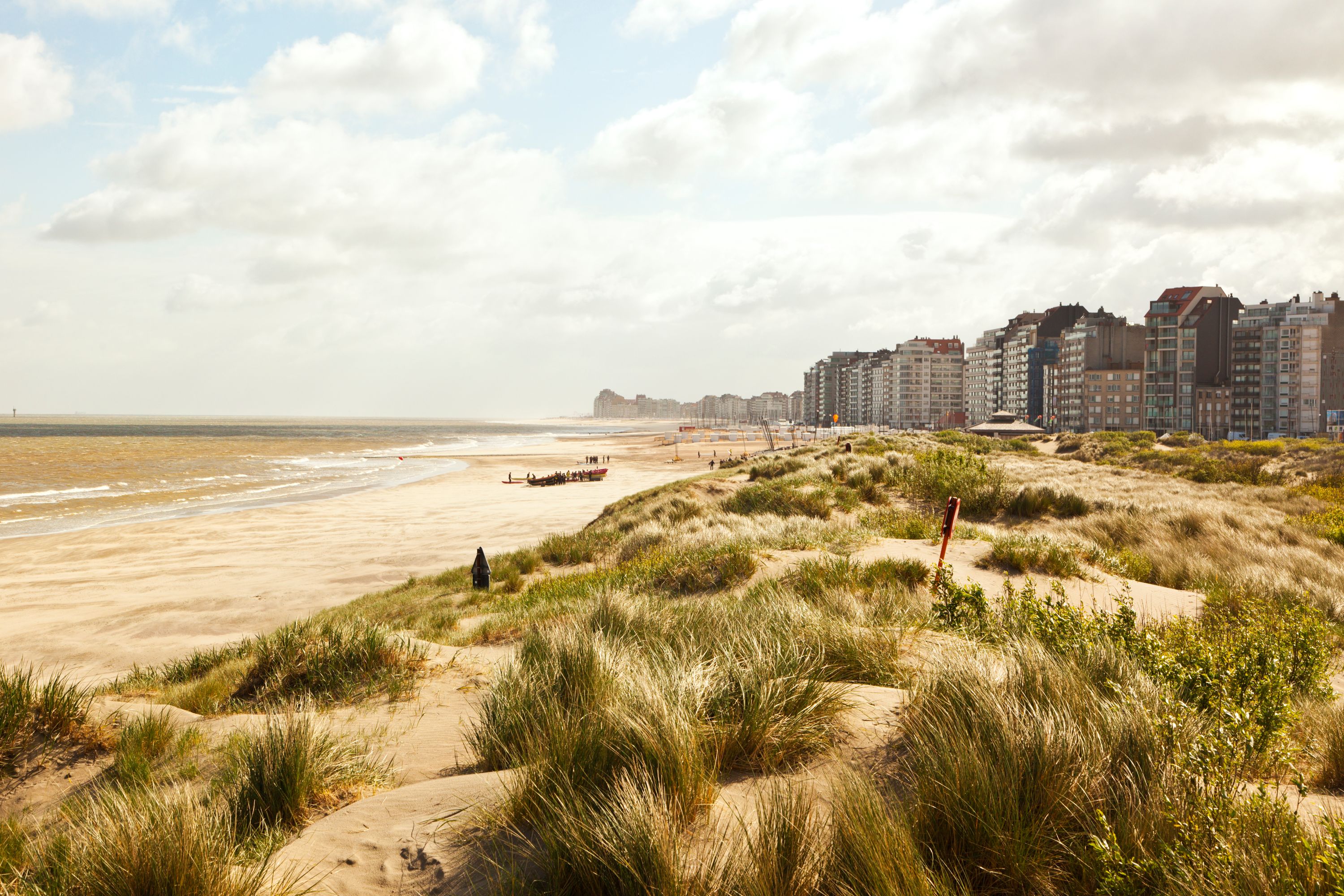 Seaside Serenity: Dunes and Beach near Zeebrugge