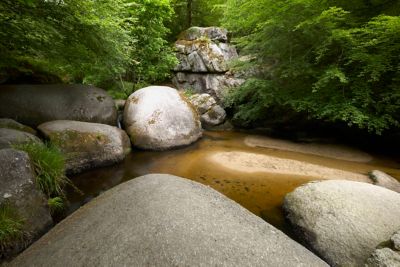 Blocs de granit dans une rivière de la forêt Domaniale de Huelgoat