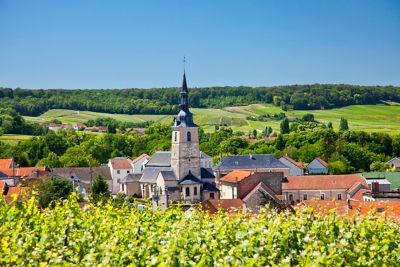 Clocher et maisons du village de Sermiers en Champagne, avec des rangées de vignes au premier plan