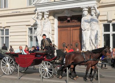 A horse and carriage outside opulent Palais Pallavicini in Vienna, Austria