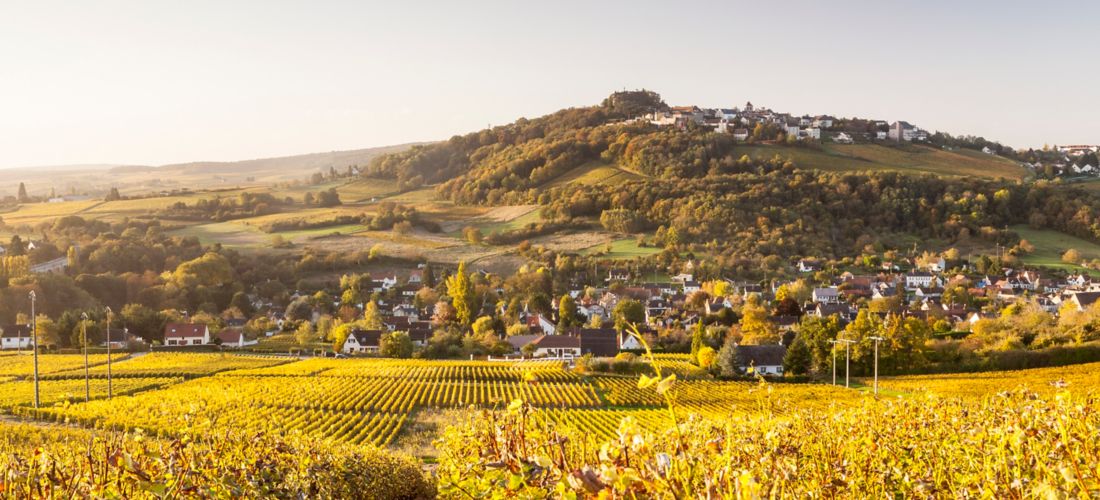 Golden Autumn in the Vineyards of Sancerre, France