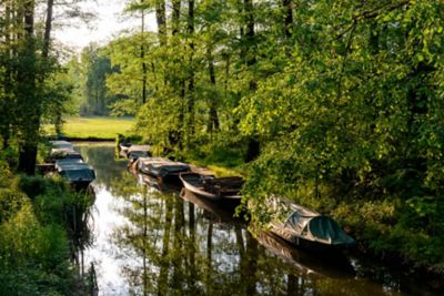 Kleine vertäute Holzruderboote in einem Wasserlauf im Spreewald bei Berlin