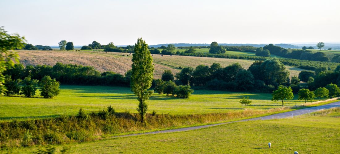Idyllic Countryside near Rhodes, Moselle