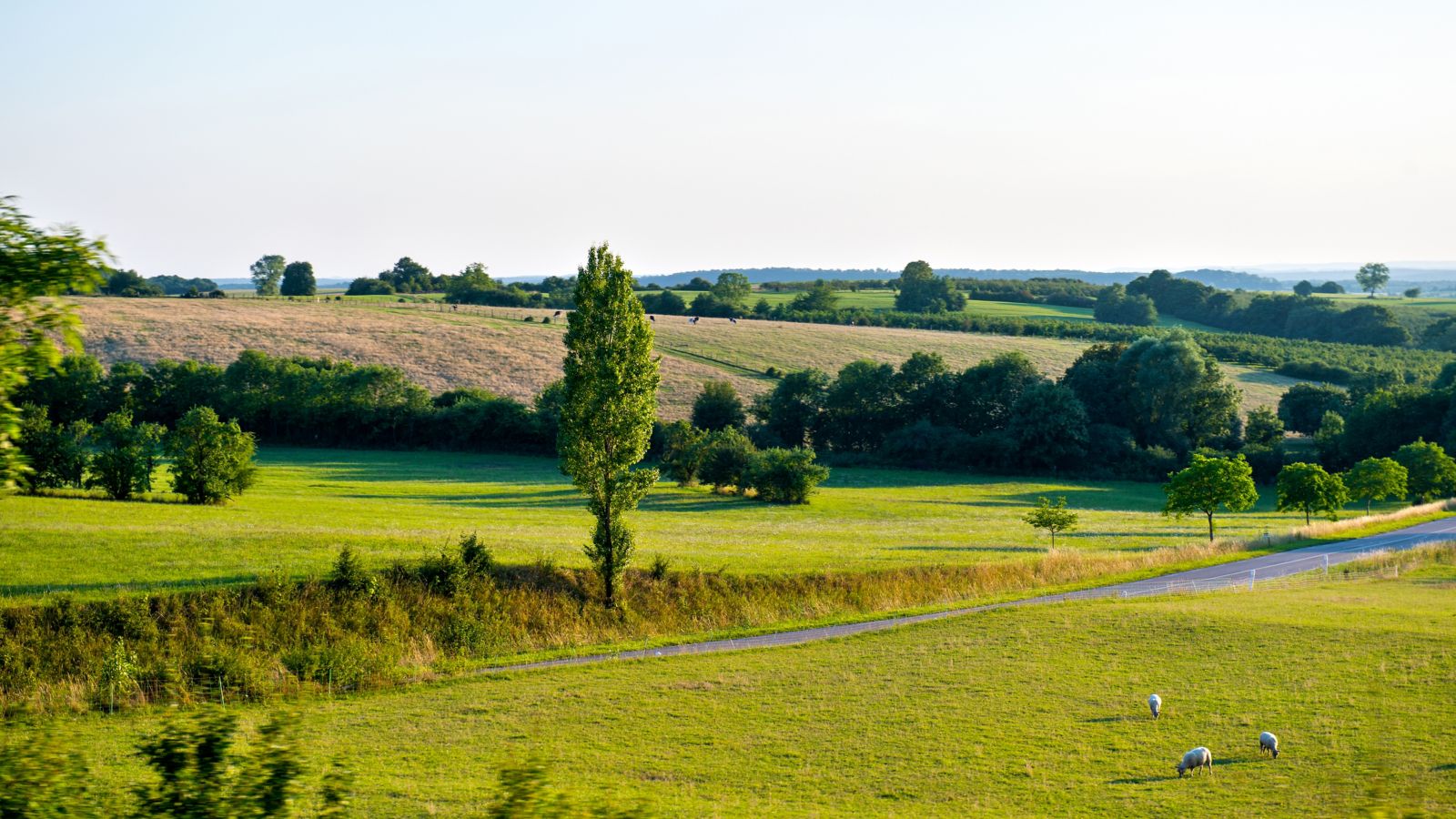Idyllic Countryside near Rhodes, Moselle
