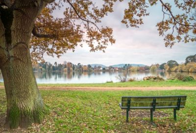 Heath Pond Lake in Petersfield, Hampshire ringed by autumnal trees, near the Meon Valley Trail