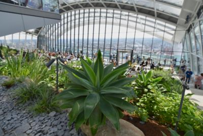 The Sky Garden in London's Walkie-Talkie building overlooking the city skyline