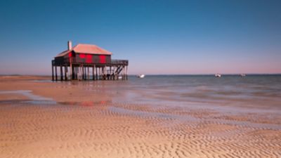 Cabane tchanquée en bois sur pilotis, baignée par la lumière rosée du coucher du soleil, au bord du bassin d’Arcachon à marée basse