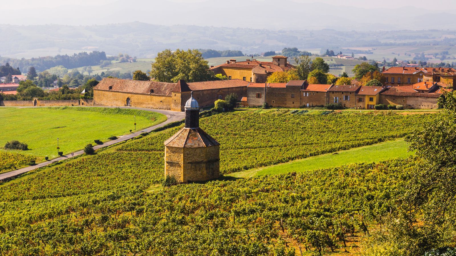 Vineyards and the Village of Rhone, Beaujolais