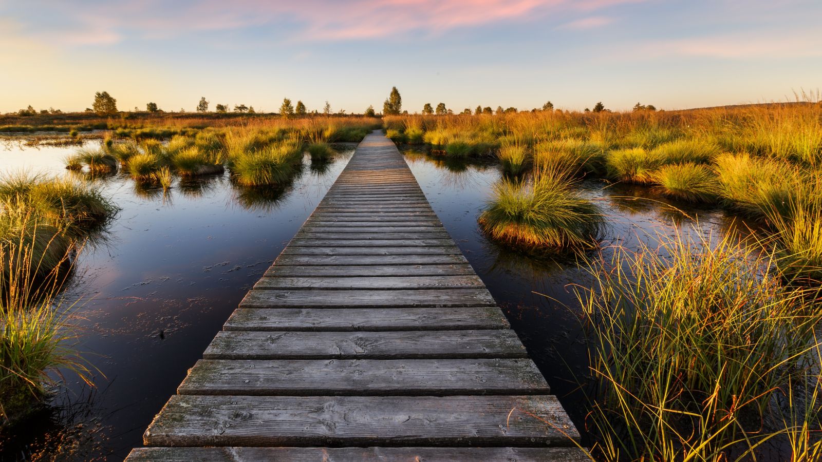 Tranquil Boardwalk at Sunset in the High Fens, Belgium
