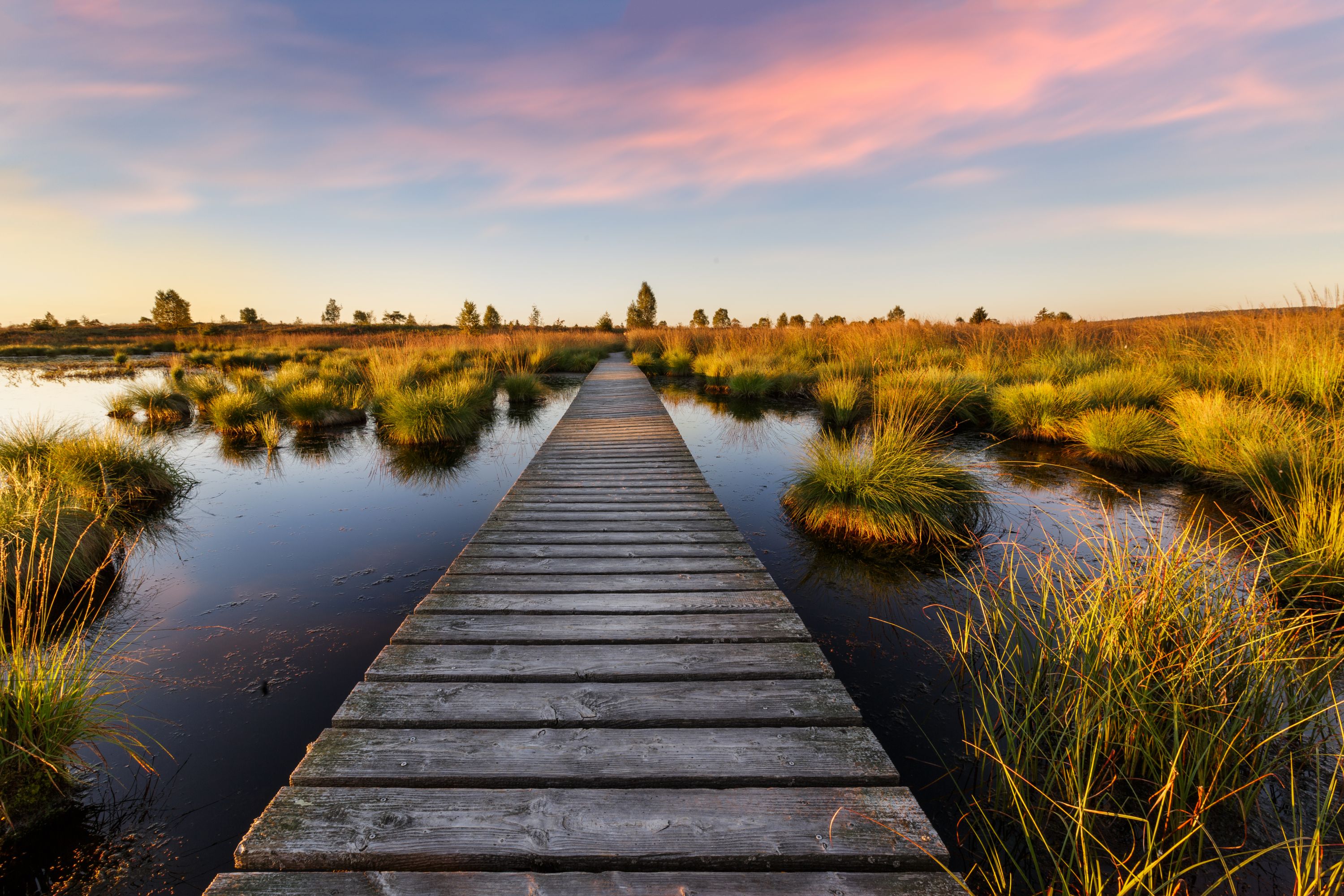 Tranquil Boardwalk at Sunset in the High Fens, Belgium