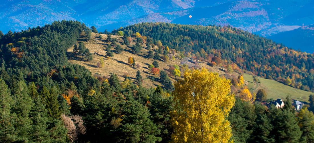 Autumn Colors of the Vosges Mountains