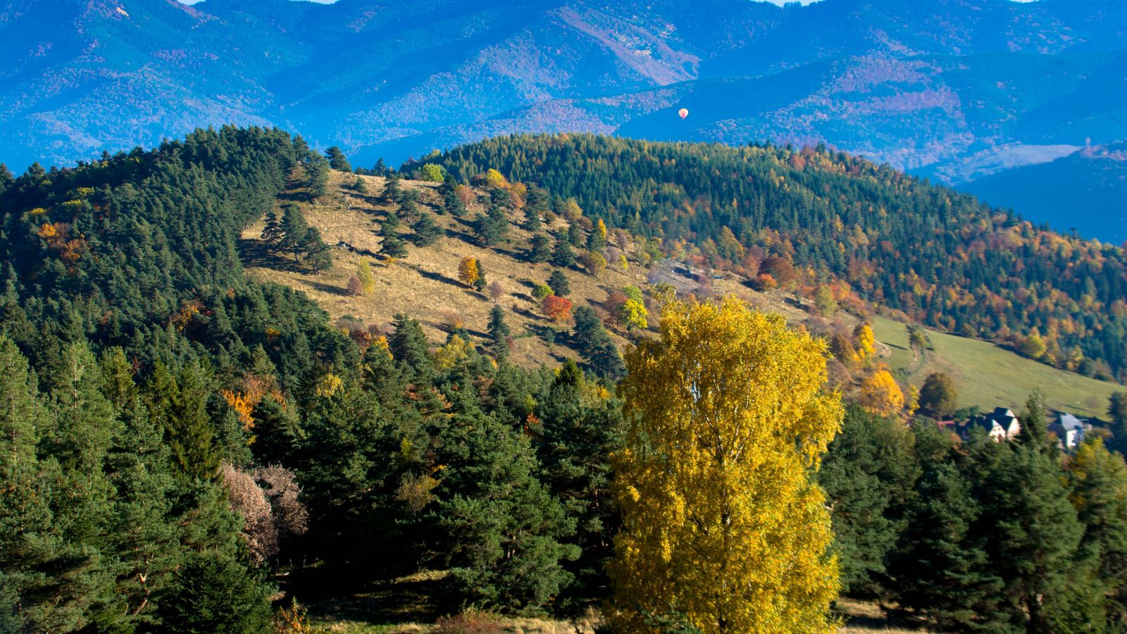 Autumn Colors of the Vosges Mountains