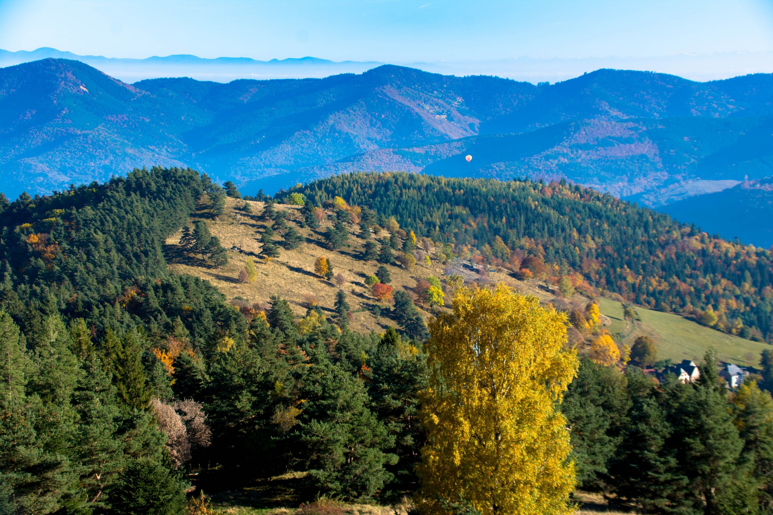 Autumn Colors of the Vosges Mountains