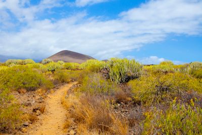 Sentier de randonnée à Malpaís de Güímar, proche de Tenerife