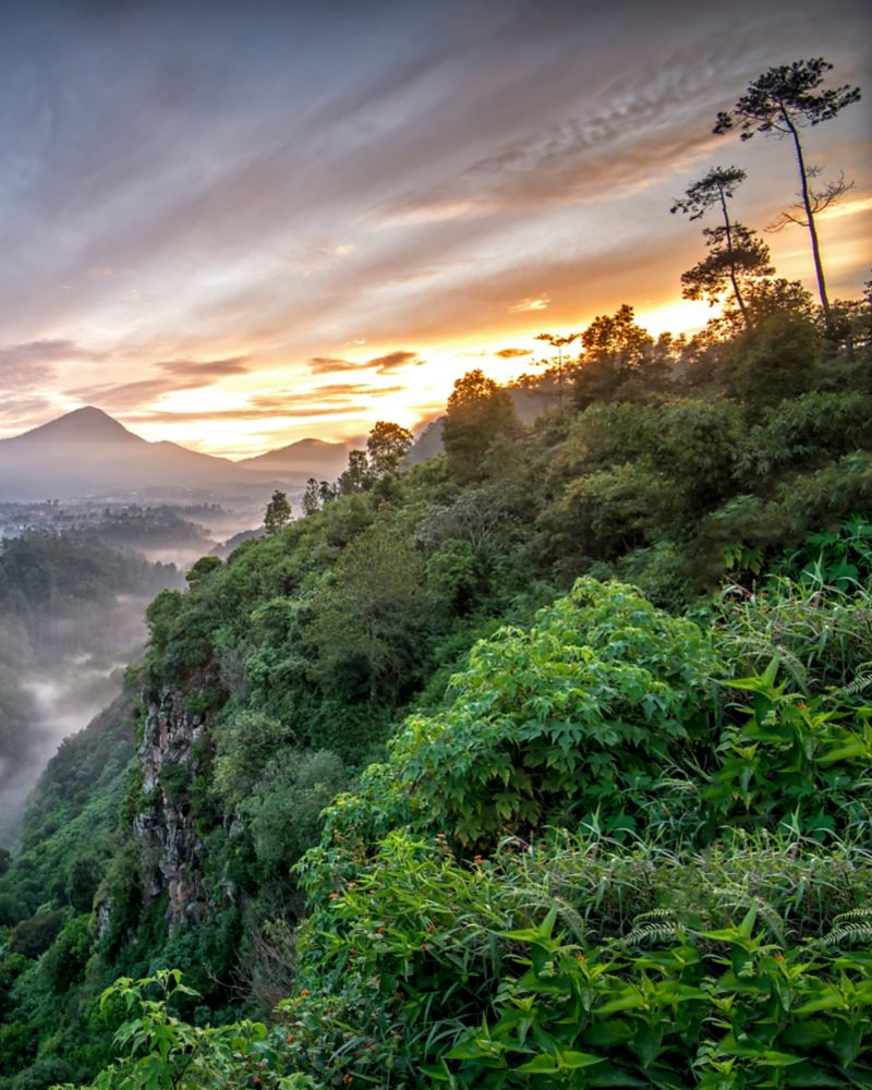 Bandung