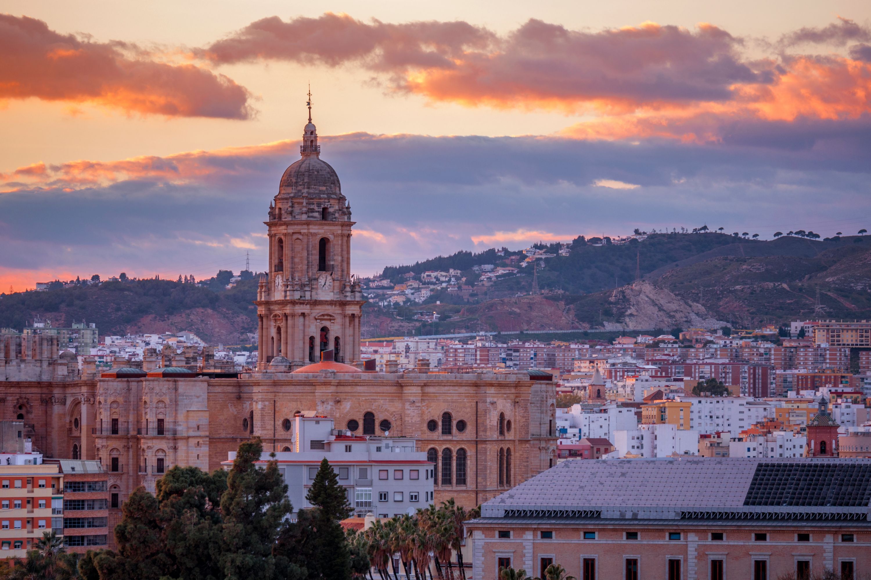Málaga Cathedral rising above the city rooftops against a pink sunset sky